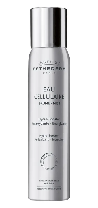Produktas INSTITUT ESTHEDERM Brume-Mist purškalas, 200 ml Paveikslėlis